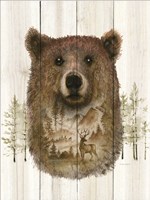 Bear Wilderness Portrait Fine Art Print