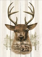 Deer Wilderness Portrait Fine Art Print