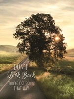 Don't Look Back Fine Art Print