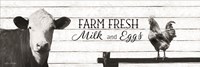 Farm Fresh Milk and Eggs Fine Art Print