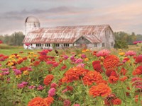 Vermont Flowers Fine Art Print