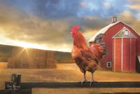 Good Morning Rooster Fine Art Print