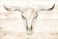 Cow Skull Fine Art Print