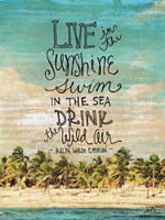Live in the Sunshine Fine Art Print