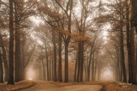 Split Fine Art Print