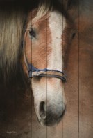 Blaze Fine Art Print