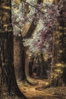 Fluffy Road Fine Art Print