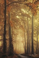 The Path of Liberation Fine Art Print