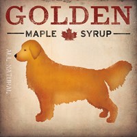 Golden Dog at Show No VT Fine Art Print