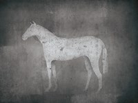 White Horse Fine Art Print