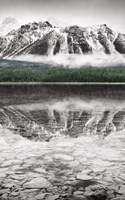 Waterfowl Lake Panel II BW with Color Framed Print
