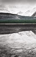 Waterfowl Lake Panel I BW with Color Framed Print