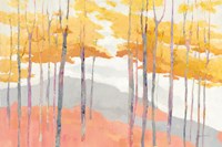 Late Wood Fine Art Print