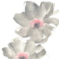 Gray Blush Cosmos II on White Fine Art Print