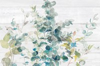 Eucalyptus I on Shiplap Crop Fine Art Print