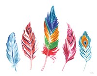 Rainbow Feathers IV Fine Art Print