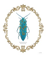 Adorning Coleoptera VIII Framed Print