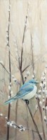 Pretty Birds Neutral II Fine Art Print