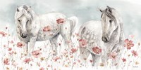 Wild Horses III Fine Art Print
