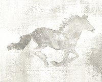 Mustang Study Neutral Fine Art Print