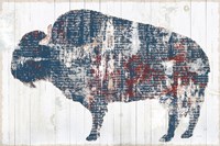 Free Spirit II Red White Blue Fine Art Print