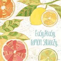 Citrus Splash III Framed Print