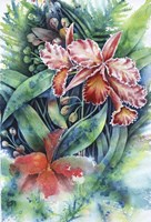 Red Orchid Fine Art Print