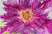 Pink Passion Fine Art Print