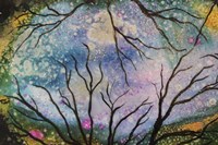 Starry Sky Fine Art Print