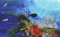 Under The Sea Fine Art Print