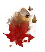 Autmn Leaf Fine Art Print