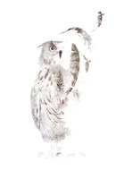 Fade Out Fine Art Print