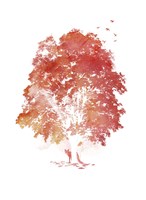 Hide And Seek Fine Art Print