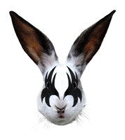 Kiss Of A Rabbit Fine Art Print