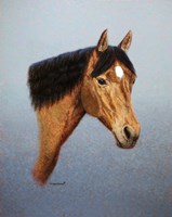 Horse Fine Art Print