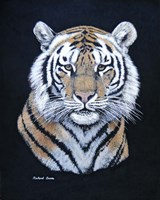 Tiger Fine Art Print