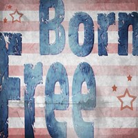 American Born Free Sign Collection 1 Fine Art Print