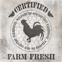 Down On The Farm Country V1 Framed Print