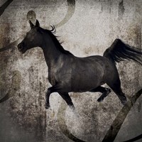 Gypsy Horse Collection V1 2 Fine Art Print