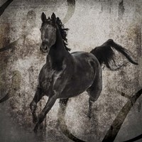 Gypsy Horse Collection V1 3 Fine Art Print