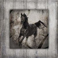 Gypsy Horse Collection V1 6 Fine Art Print