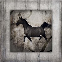 Gypsy Horse Collection V1 7 Fine Art Print