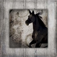 Gypsy Horse Collection V1 8 Framed Print