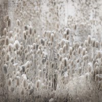 My Farm My Way Photos 3 Fine Art Print