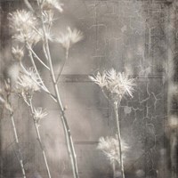 My Farm My Way Photos 7 Fine Art Print