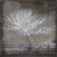 My Farm My Way Photos 13 Fine Art Print