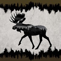 Rustic Lodge Collection V1 1 Fine Art Print