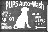 Mudroom 12 Fine Art Print