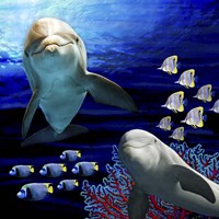 Sea Creatures Dolphines Fine Art Print