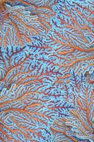 Sea Creatures Surface Pattern 1 Fine Art Print